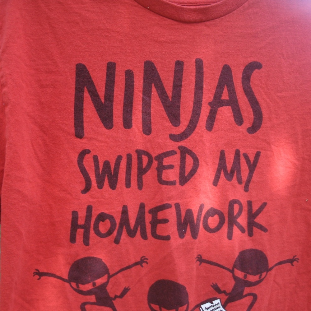 Ninja Humorous T-Shirt - Picture 4 of 8